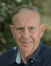 Prof Danny Pfefferman